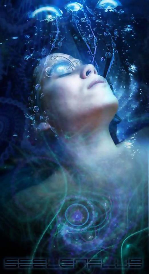 252242_270785669711610_408663933_n 2