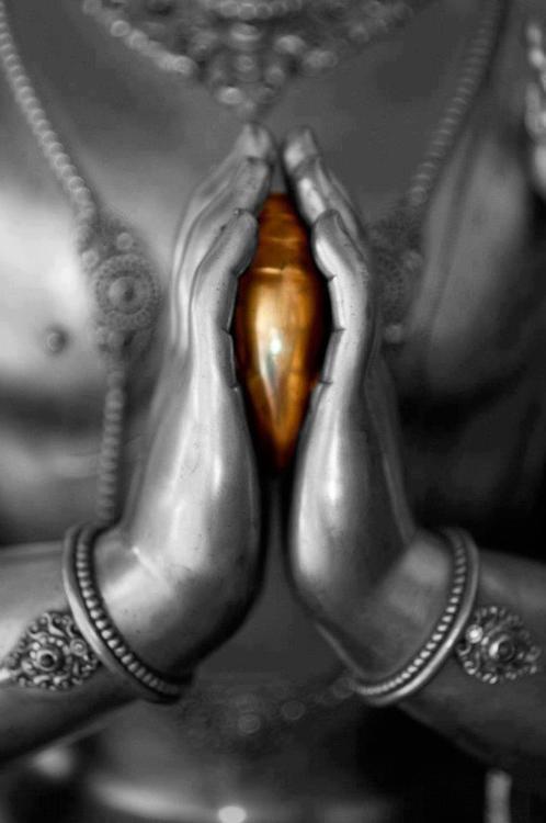 531286_10151995932136542_66245967_n