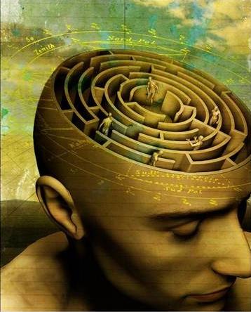 483050_380210902048961_1508926121_n 2